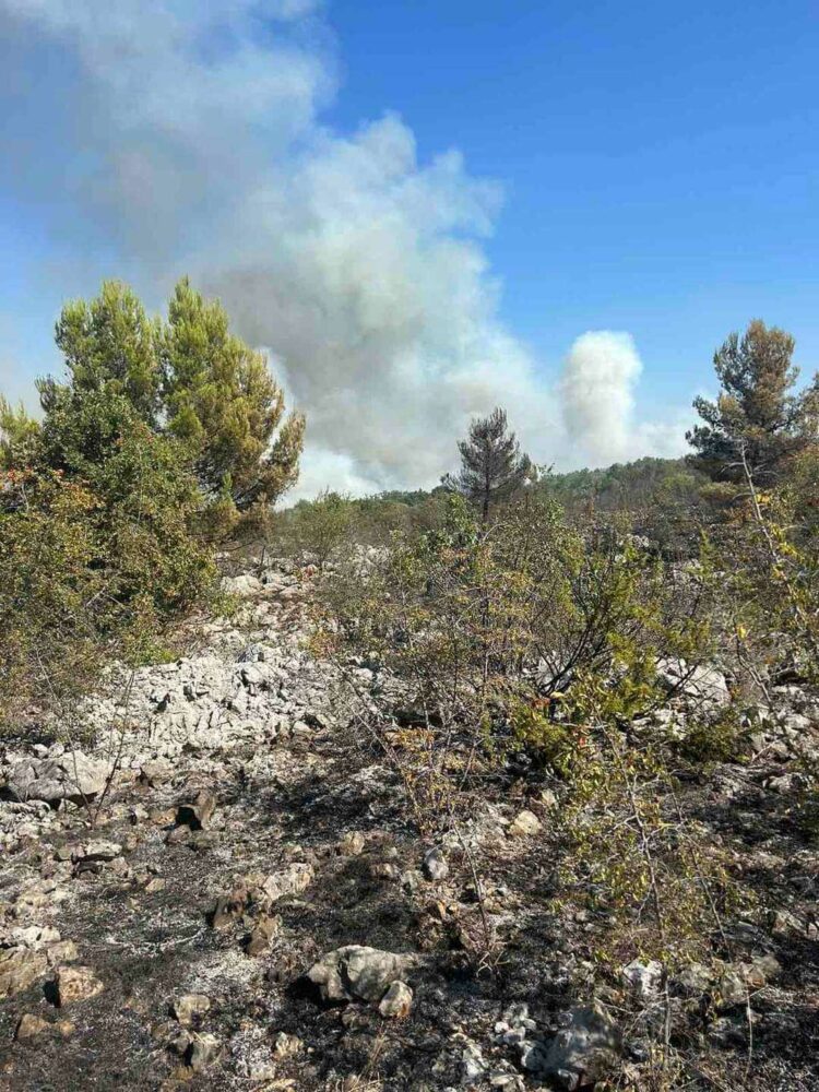 Požar u Dobrom Selu i Sretnicama i dalje aktivan