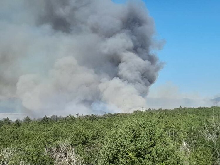 Požar u Dobrom Selu pod kontrolom, gori jedan manji krak kod bazena Crvenog mulja