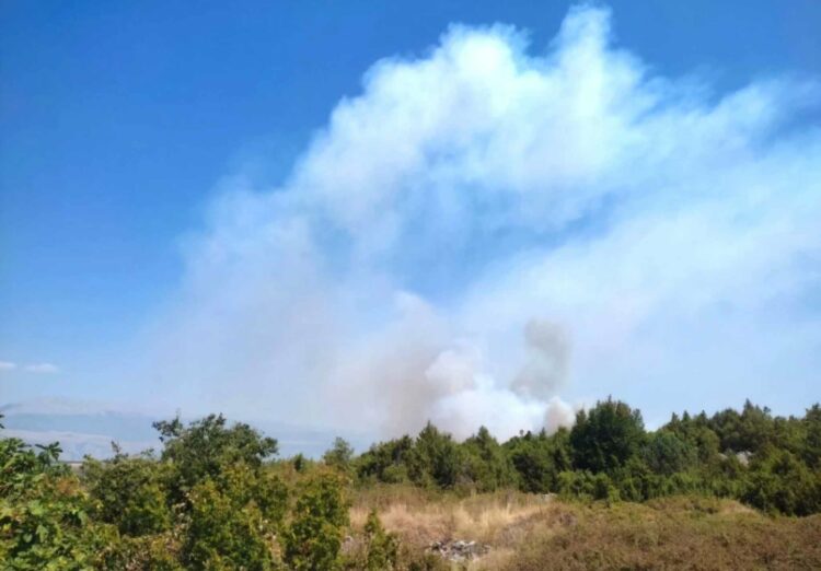 Požar se iz Dobrog Sela i Sretnica proširio i na Krivodol